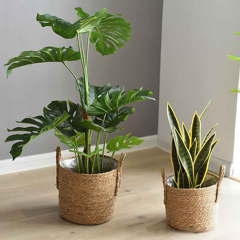 I fioriere con manico in ratta - Rattan Tray Handle recensione e prezzo
